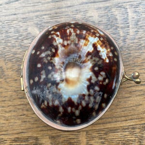 May include: A round, brown and white seashell purse with a gold-coloured metal frame and clasp. The shell has a polished, glossy finish and a natural, organic pattern. The purse is closed, and the clasp is visible.