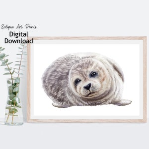 Seal Poster Print • Bedroom or Nursery Animal Art Decor • Printable Wall Art Digital Download