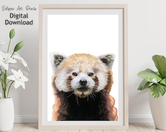 Red Panda Poster Print • Bedroom or Nursery Animal Art Decor • Printable Wall Art Digital Download