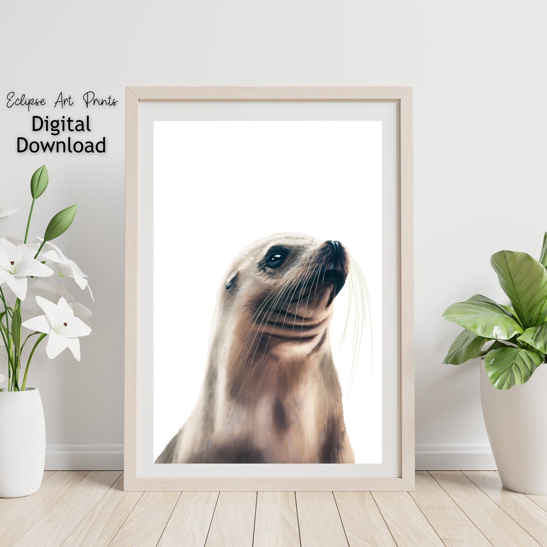 Seal Print Seal Portrait Art Seal Wall Art Seal Poster Etsy