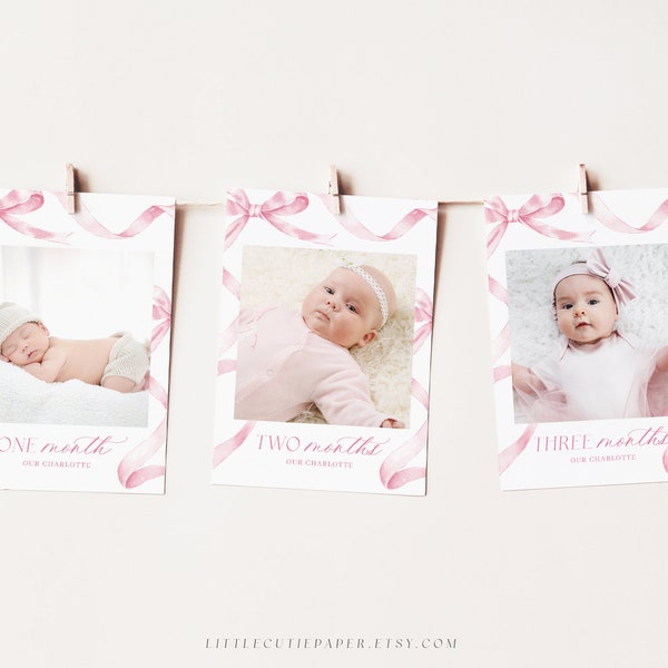 Editable Pink Bow Milestone Photo Banner, Pink Ribbon 1st Birthday Monthly Milestone Cards, Photo Prop, Photo Garland 2003