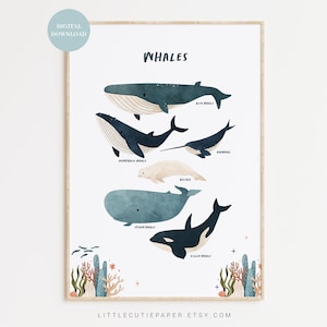 Download digital de pôster de baleia, gráfico de baleias para impressão, arte de berçário de baleias para decoração de berçário de oceano, berçário de mar, decoração de parede de oceano OCN001