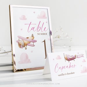 Bearbeitbare rosa Flugzeug-Lebensmittelzeltvorlage mit Tischnummer, bearbeitbarer Tischkarte für Mädchen-Babypartyflugzeug oder Geburtstagsfeier 1016