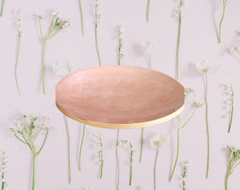 100% Bamboo Plate Jake & Maddie Soft Pink Lacquer Paint Metallic Best Vegan Gift Hand Painted Bamboo Tableware Plate Natural Eco-Friendly