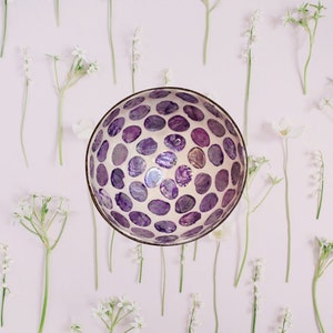 Coconut Bowl Jake & Maddie Purple Mother of Pearl Lacquer Paint Best Vegan Gift Hand Painted Coconut Bowls Eco-Friendly Coconut Bowl