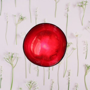 Coconut Bowl Jake & Maddie Red Leaf Lacquer Paint Metallic Best Vegan Gift Hand Painted Coconut Bowls Eco-Friendly Coconut Bowl