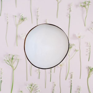 Coconut Bowl Jake & Maddie Plain White Lacquer Paint Metallic Best Vegan Gift Hand Painted Coconut Bowls Eco-Friendly Coconut Bowl