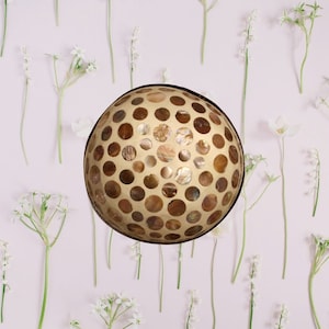 Coconut Bowl Jake & Maddie Brown Polka Dot Lacquer Paint Best Vegan Gift Hand Painted Coconut Bowls Eco-Friendly Coconut Bowl