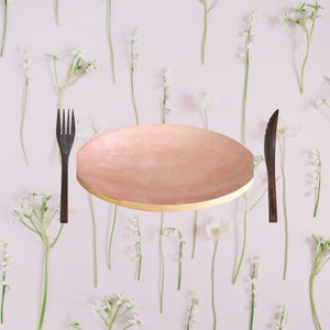 100% Bamboo Plate Jake & Maddie Soft Pink Lacquer Paint Metallic Best Vegan Gift Hand Painted Bamboo Tableware Plate Natural Eco-Friendly image 2