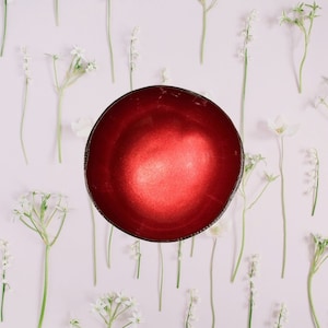Coconut Bowl Jake & Maddie Red Lacquer Paint Metallic Best Vegan Gift Hand Painted Coconut Bowls Eco-Friendly Coconut Bowl
