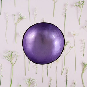 Coconut Bowl Jake & Maddie Bright Purple Lacquer Paint Metallic Best Vegan Gift Hand Painted Coconut Bowls Eco-Friendly Coconut Bowl