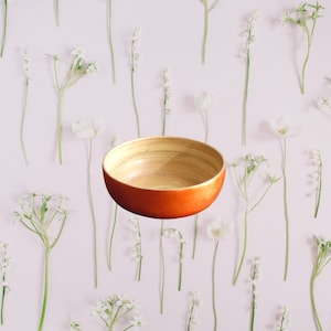100% Bamboo Bowl Jake & Maddie Copper Leaf Lacquer Paint Metallic Best Vegan Gift Hand Painted Bamboo Tableware Bowl Natural Eco-Friendly