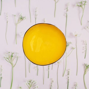 Coconut Bowl Jake & Maddie Plain Yellow Lacquer Paint Best Vegan Gift Hand Painted Coconut Bowls Eco-Friendly Coconut Bowl