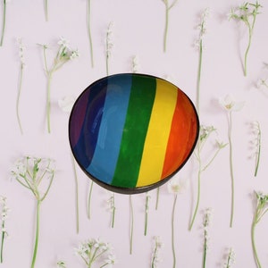 Coconut Bowl Jake & Maddie LGBT+ Gay Pride Rainbow Flag Lacquer Paint Best Vegan Gift Hand Painted Coconut Bowls Eco-Friendly Coconut Bowl