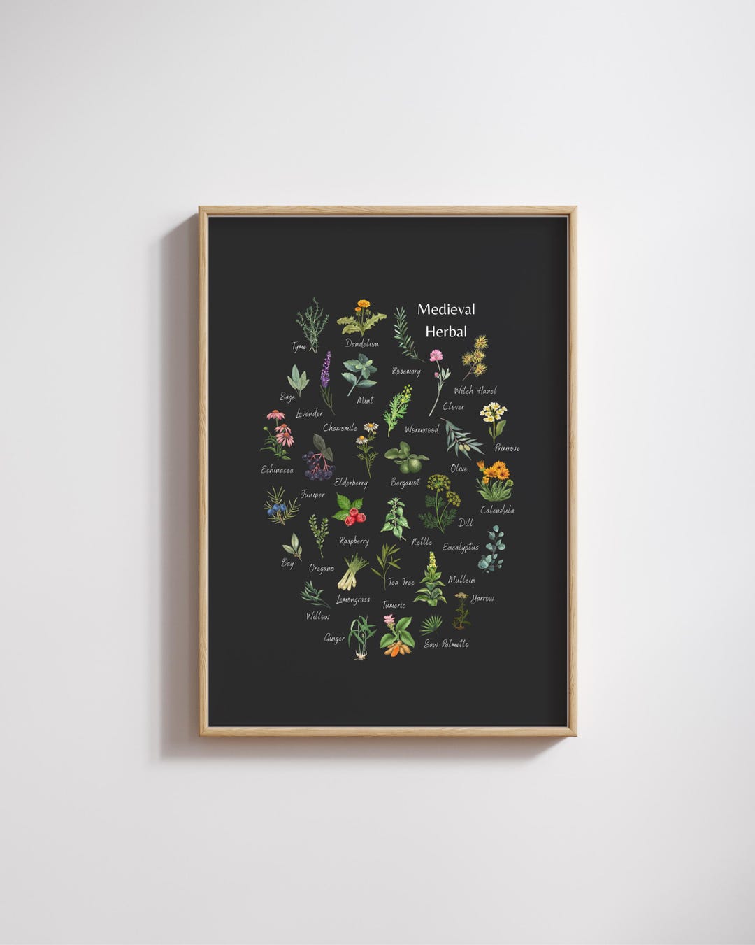 Medieval Herbal - Botanical Print - Magical & Medicinal - Garden