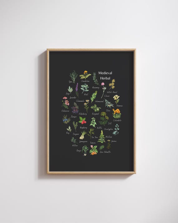 Medieval Herbal - Botanical Print - Magical & Medicinal - Garden