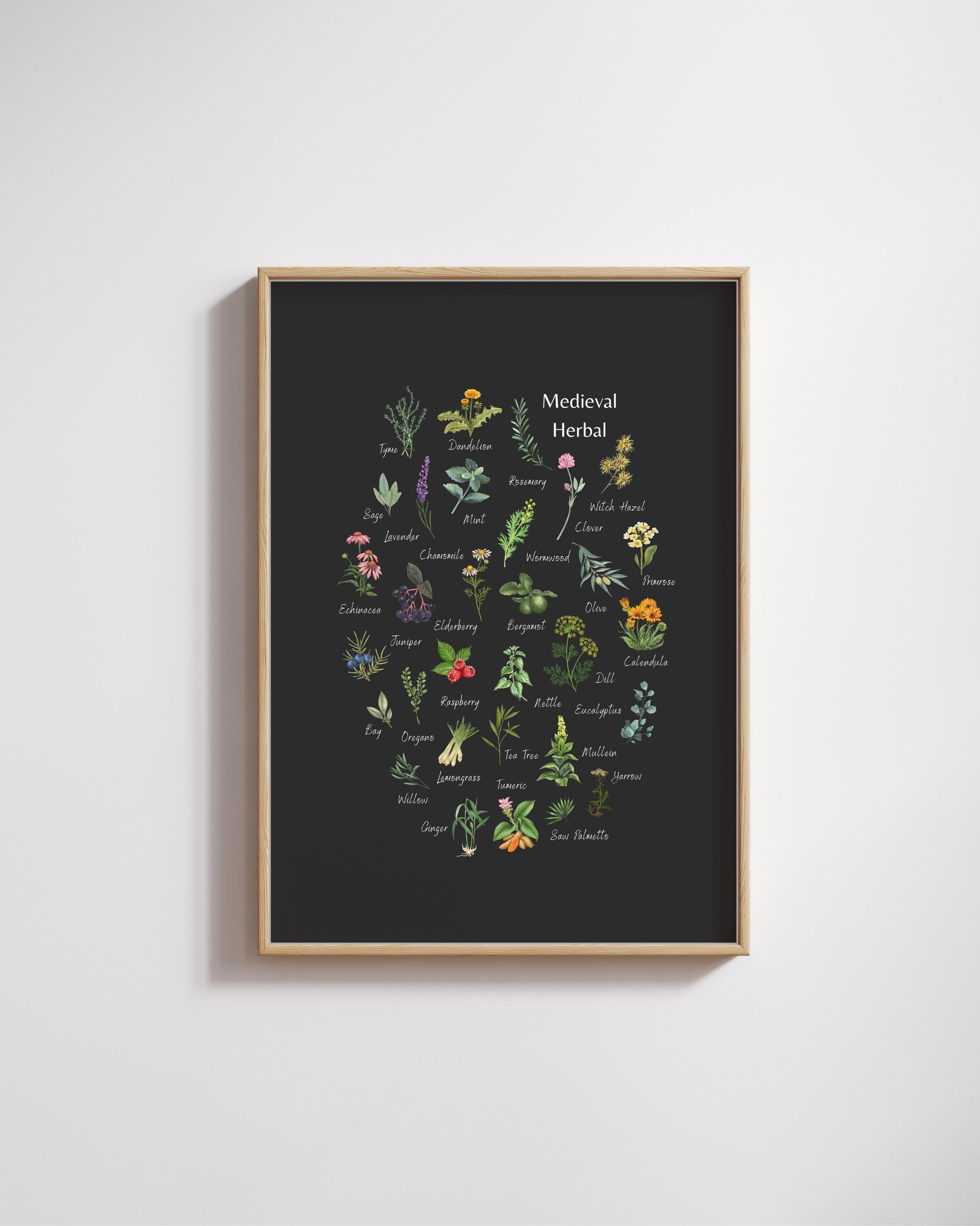 Medieval Herbal - Botanical Print - Magical & Medicinal - Garden