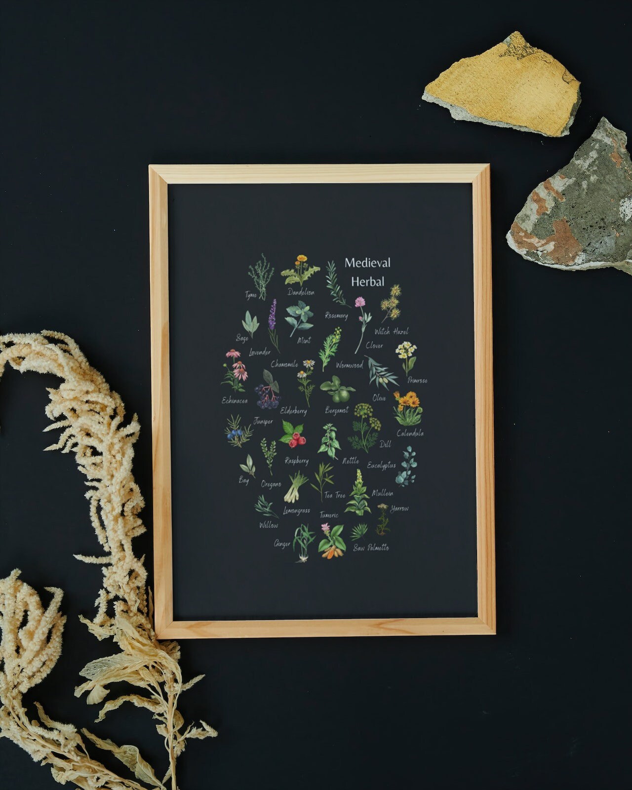 Medieval Herbal - Botanical Print - Magical & Medicinal - Garden