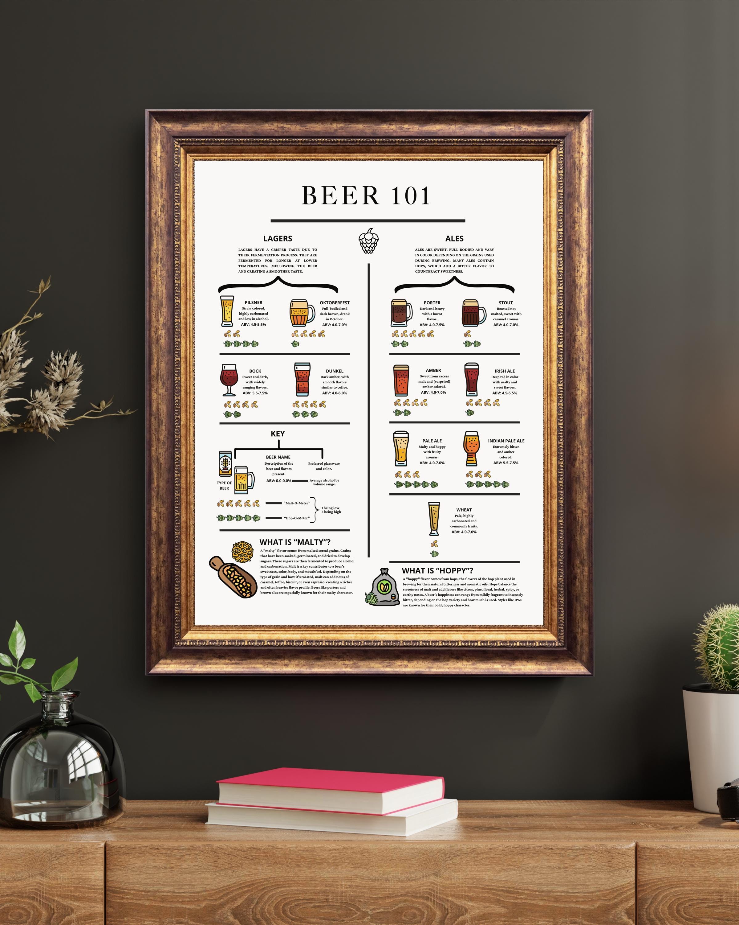 Beer Infographic Poster