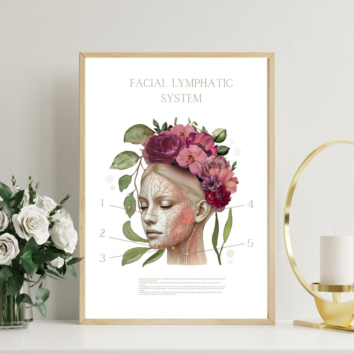Facial Lymphatic System Art | Nodes, Anatomy Art | Doctor Gift ...