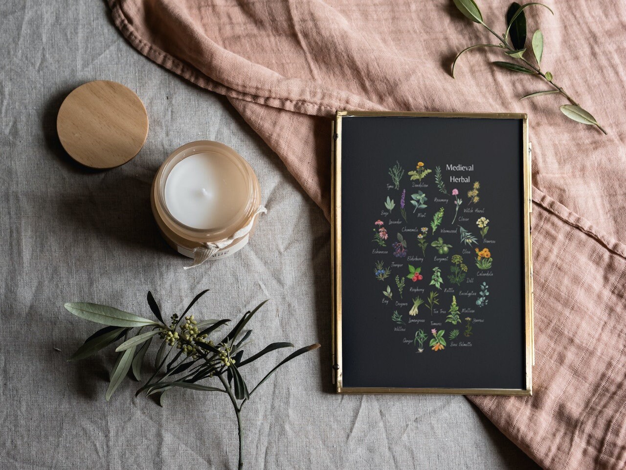 Medieval Herbal - Botanical Print - Magical & Medicinal - Garden