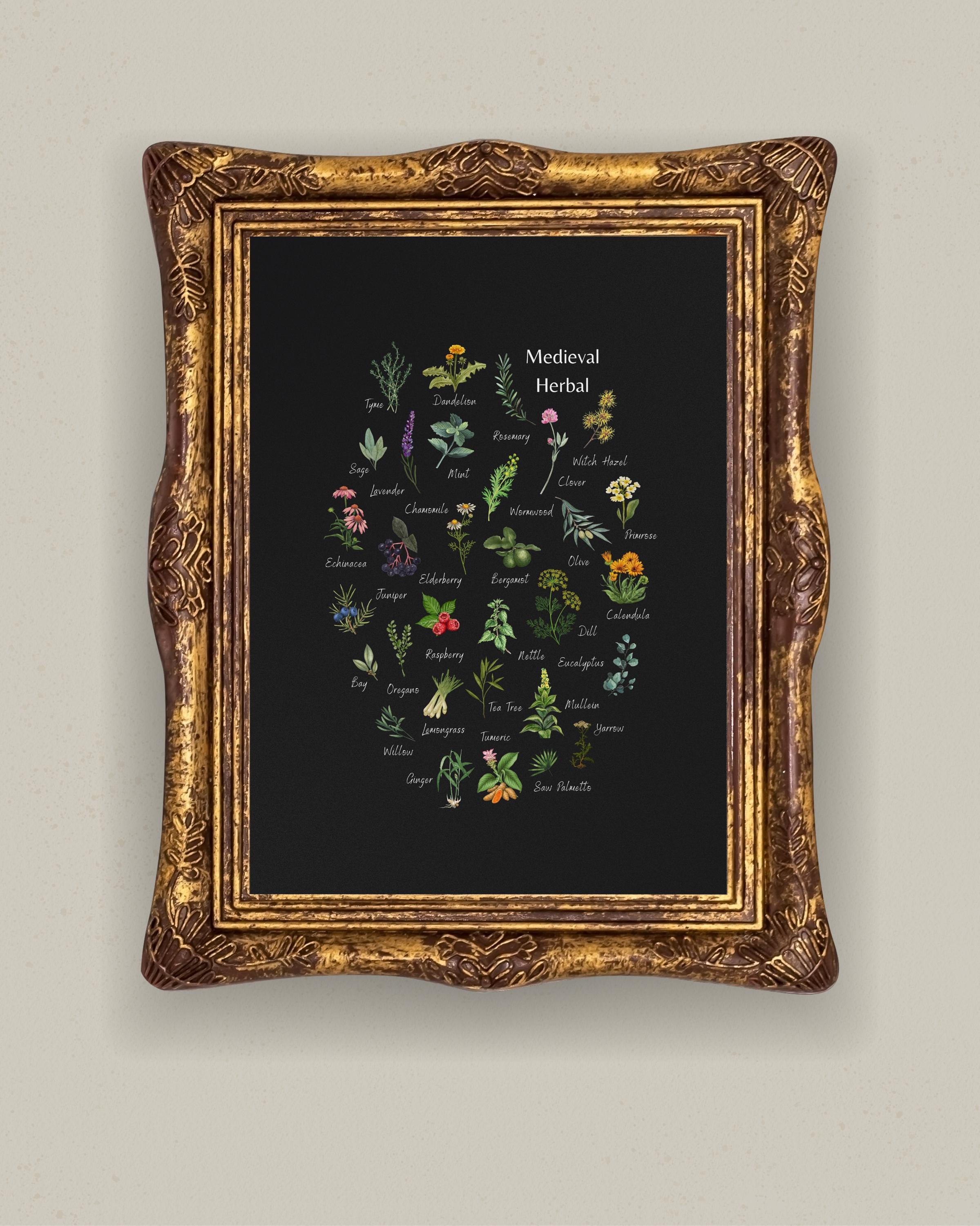 Medieval Herbal - Botanical Print - Magical & Medicinal - Garden