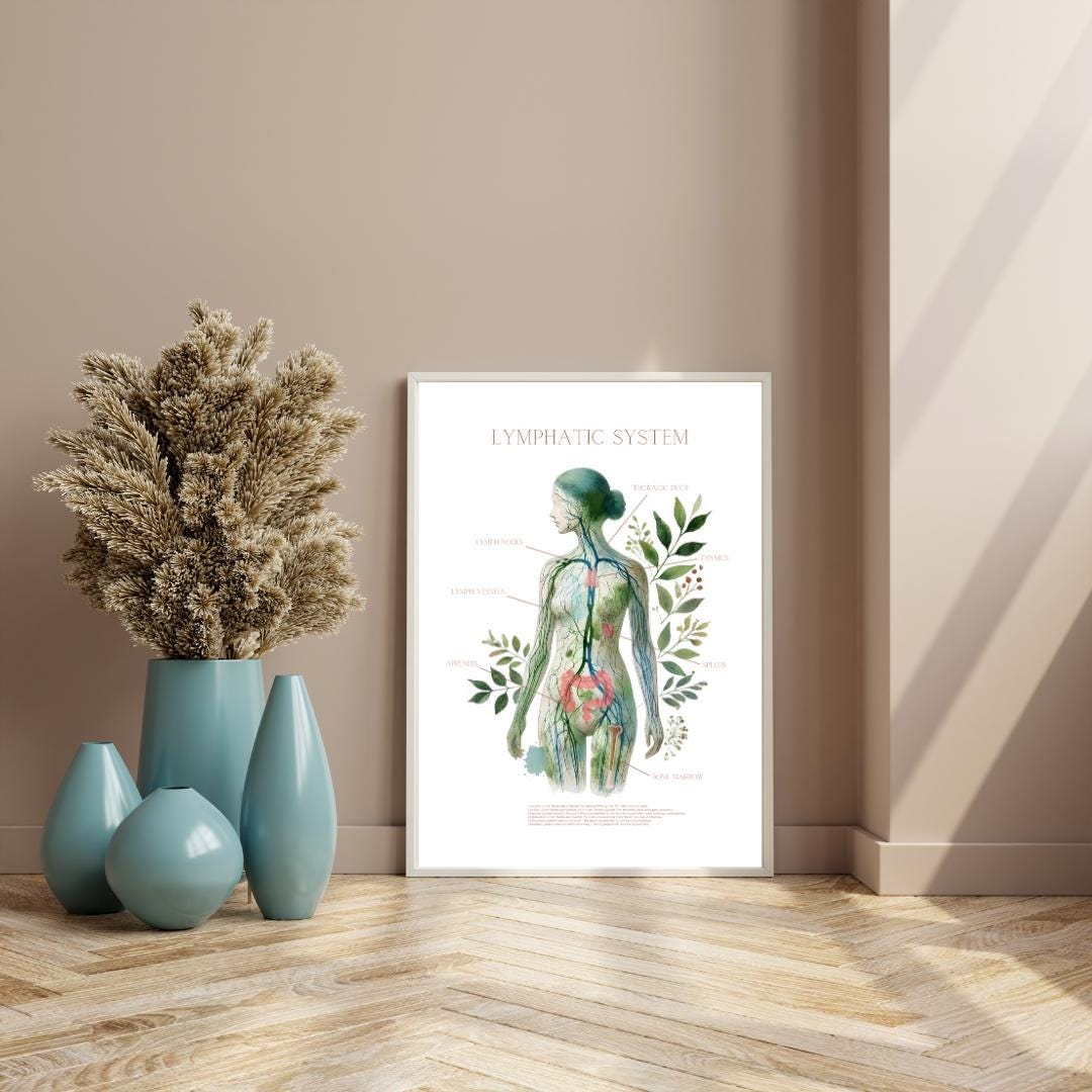 Lymphatic System Art Lymph Nodes Anatomy Art Doctor Gift ...