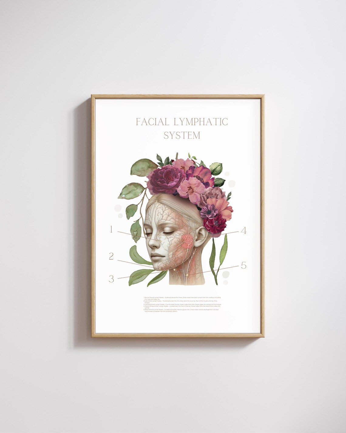 Facial Lymphatic System Art | Nodes, Anatomy Art | Doctor Gift ...
