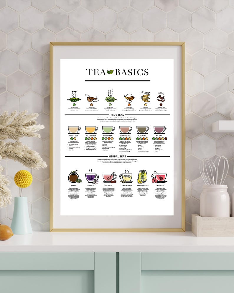 Tea Basics Guide | Tea Types, Leaves & Fermentation | Café Kitchen ...
