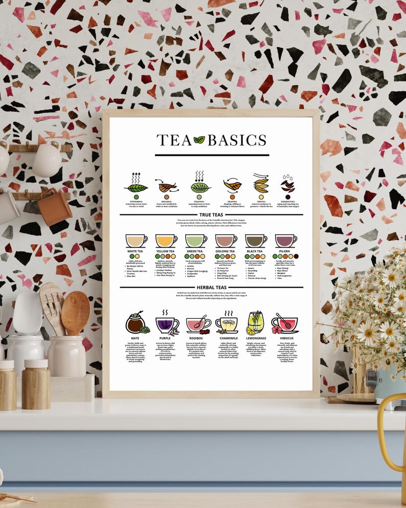 Tea Basics Guide | Tea Types, Leaves & Fermentation | Café Kitchen ...