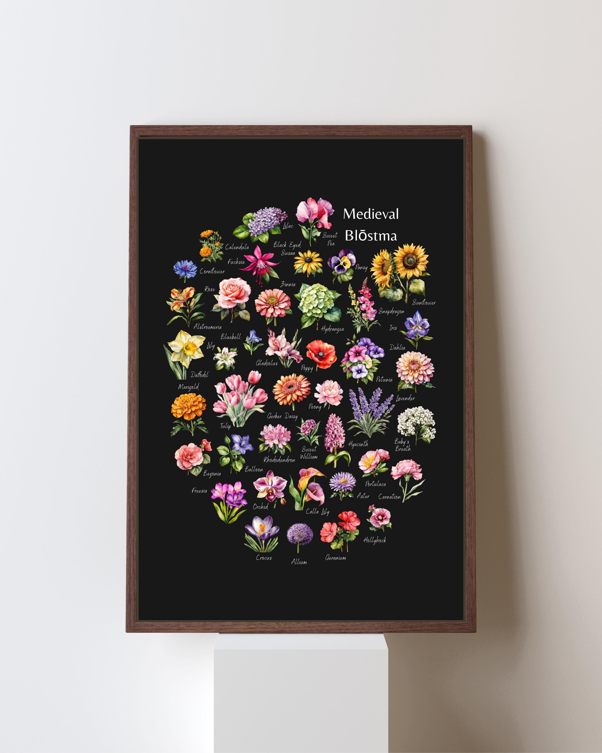 Medieval Blōstma [black]- Botanical Flower Print - Blossom
