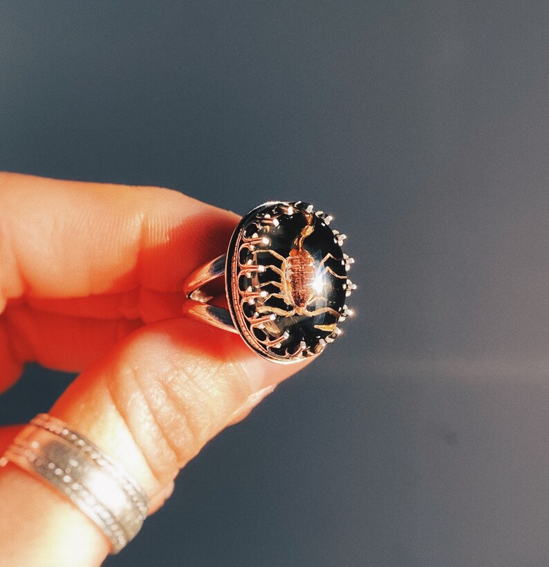 Size 6.5 Sterling Scorpion Ring