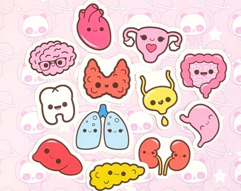 30 Pack Paper Kawaii Body Organs Stickers SET 2