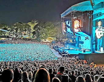 Stampa di Ed Sheeran Roundhay Park: Leeds Gig Photo Art