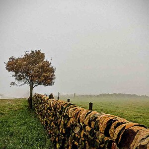 Puede incluir: Imagen de un paisaje con un muro de piedra desgastada que bordea un campo cubierto de hierba. Un pequeño árbol se alza junto al muro, y el cielo está cubierto. La escena evoca una sensación de tranquilidad rural.