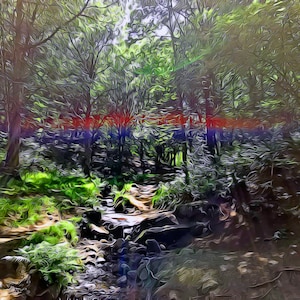 Puede incluir: Un sendero de bosque soleado con un pequeño arroyo que lo atraviesa. El sendero está cubierto de hojas y ramas, y el arroyo está rodeado de exuberante vegetación verde.
