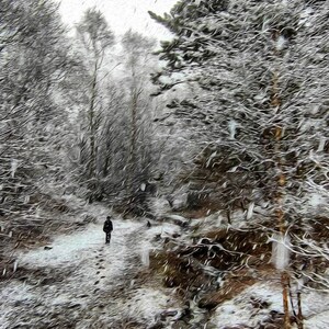 Puede incluir: Un sendero de bosque nevado con una sola persona caminando en la distancia. Los árboles están cubiertos de nieve y el suelo es blanco. El cielo está gris y nublado.