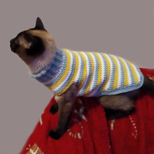 Cat on sweater, crochet pattern, cat jumper for cats, sphynx in a sweater, sphynx cat clothes, striped sweater for cat, cat sweater crochet.