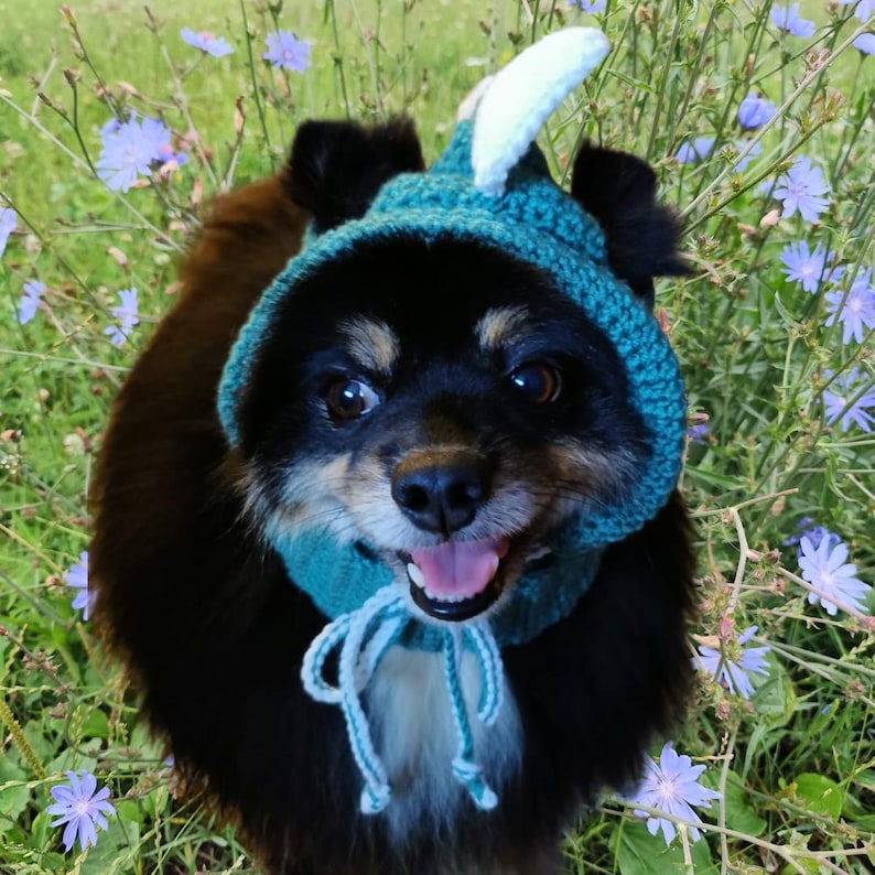 May include: A black and brown dog wearing a teal blue knitted hat with a white horn on top. The dog is smiling and looking at the camera. The dog is in a field of blue flowers.