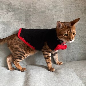 May include: A brown tabby cat wearing a black crocheted sweater with a red trim. The cat is sitting on a gray couch.