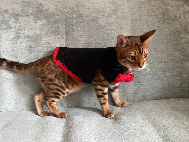 May include: A brown tabby cat wearing a black crocheted sweater with a red trim. The cat is sitting on a gray couch.