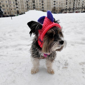 May include: A small black and brown dog wearing a pink and purple knitted hat with a pointed top. The dog is standing on a snowy surface.
