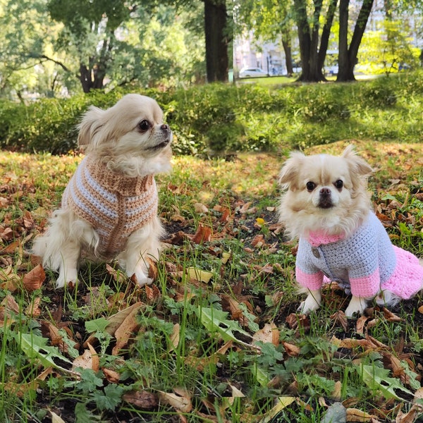 Chihuahua, dog sweater crochet pattern, sphynx cat clothes pattern, new puppy gift, pink dog dress, easy crochet pattern, small dog clothes.