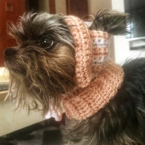 May include: A small, brown and black dog wearing a pink and white crocheted hat and scarf.