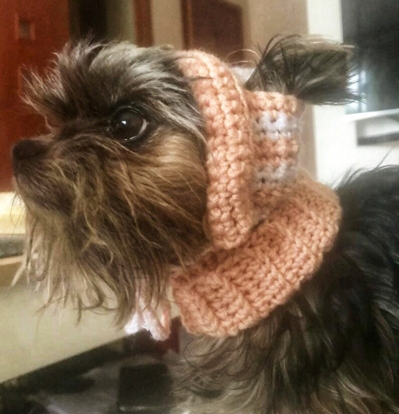 May include: A small, brown and black dog wearing a pink and white crocheted hat and scarf.