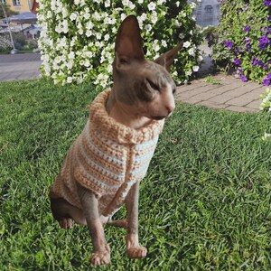 Sphynx cat sweater pattern, Crocheted sweater for cat pattern, Crochet dog sweater pattern, sphynx cat clothes, cat sweater crochet pattern. image 6