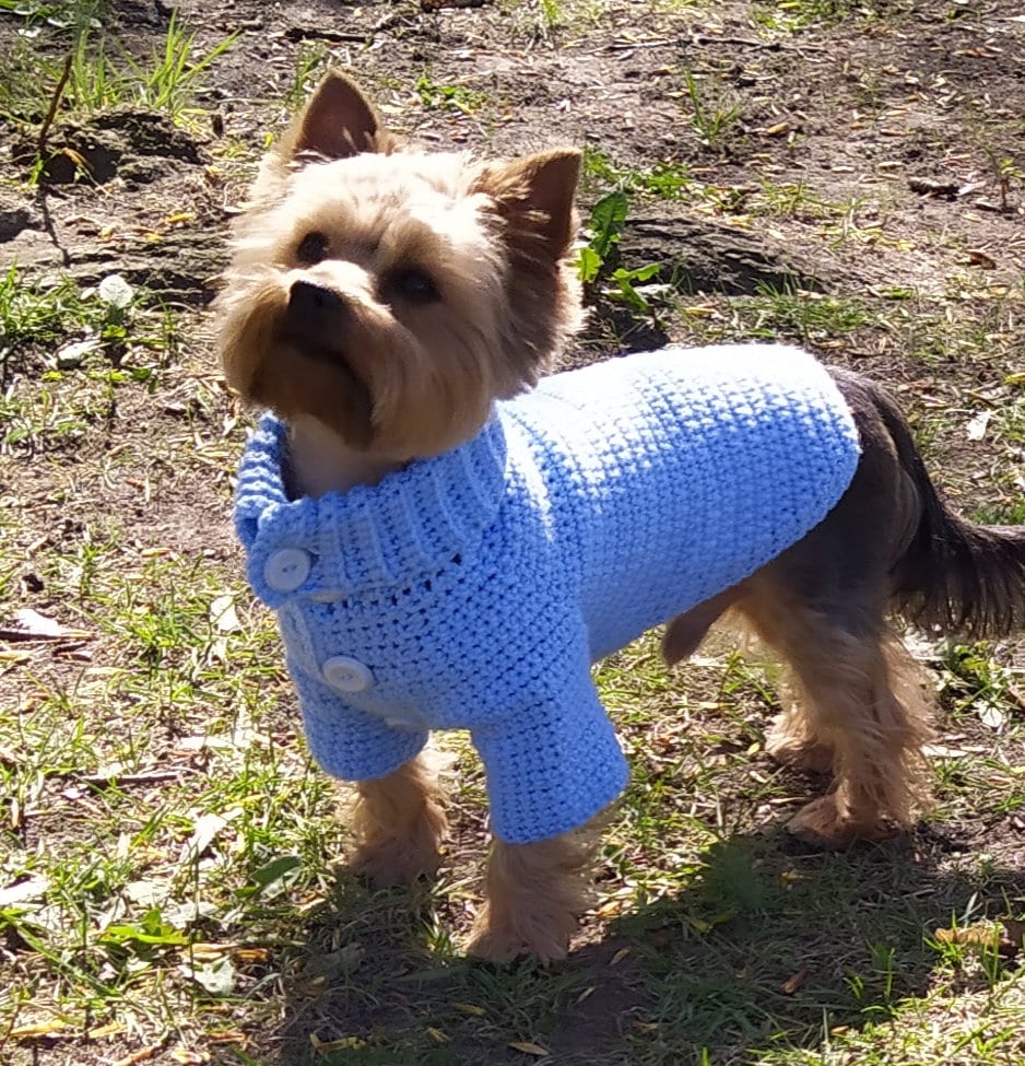 Dandy Dog Sweater (Printable Version) Heart Hook Home, 43% OFF