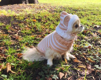 Dog sweater crochet pattern, new dog gift, Easy crochet pattern for beginners, sweater for cat, Sphynx cat clothes, dog hat crochet, pet hat