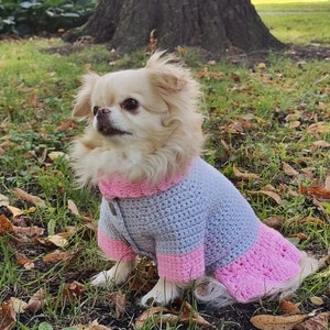 Pink dog dress, crochet pattern, sweaters for dogs, small dog dresses,  dog crochet sweater, pet clothes, cat coat, easy crochet pattern.