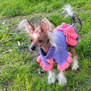 Dress for dog pattern, crochet pattern for dogs, designer dog dresses, dog coat pattern, puppy sweater crochet pattern, dog winter clothes.
